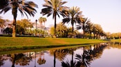 Palm trees in a row along a rolling green lawn at the edge of a river