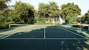 Vista de una cancha de tenis rodeada por árboles