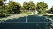 View of a tennis court fringed by trees