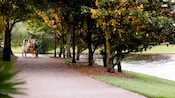 A horse-drawn carriage and driver trot along a tree-lined lane