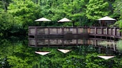 Umbrella patio seating on a riverside dock backdropped by trees and reflecting a double image