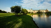 La ribera y los terrenos cubiertos de hierba en los alrededores de Disney's Saratoga Springs Resort & Spa