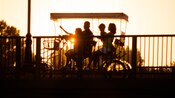 A family enjoying a sunset ride on a surrey bike