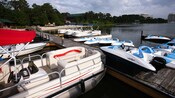 A variety of watercraft docked lakeside