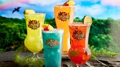 Four different cocktails over ice in Rainforest Cafe logo glasses with fruit garnishes