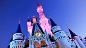 Cinderella Castle illuminated at night by pink lights
