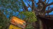 kilimanjaro safaris cart