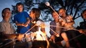 Uma família assando marshmallows ao redor da fogueira