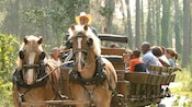 Vários visitantes sorriem durante passeio de charrete no estilo velho oeste puxada por 2 cavalos