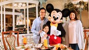 hong kong tour package with disneyland and ocean park
