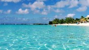 Guests swimming in the Caribbean Sea at Seven Mile Beach