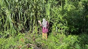 A woman standing among tall plants