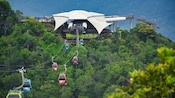 Multiple cable car gondolas ascending and descending a terminal    station set within a dense tropical rainforest  