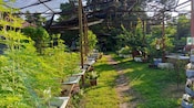 Garden path lined with potted plants under a shaded trellis at Frangipani Langkawi Resort & Spa