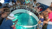 Guests looking at fish through a glass bottom boat