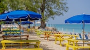Picnic tables and beach umbrellas along the shore of Seven Mile Beach