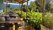 A dining patio on a coffee plantation in Puerto Plata, Dominican Republic