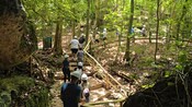 Guests in hard hats climbing wooden stairs along a jungle trail in Puerto Rico