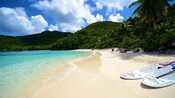 A beach lined with palm trees and paddleboards resting on a sandy shore