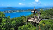 Guests and staff members on a zip line platform overlooking a bay