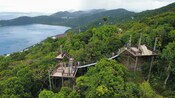 Zipline platforms connected by a swinging bridge above a forested hillside near the coast