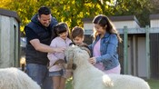 A family of 4 interacting with a ram