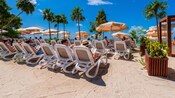 Guests relaxing in outdoor loungers at Kuza Beach in Cozumel Beach, Mexico