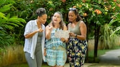Three Guests examining a cultural tour map