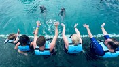 Guests wearing  life vests while sitting at the edge of a dolphin habitat with their arms outstretched towards 2 dolphins in the water