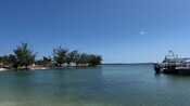 Dos barcos atracados en aguas poco profundas cerca de una orilla cubierta de árboles bajo un cielo despejado