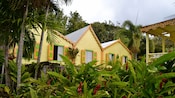The rear facade of Romney Manor in Saint Kitts, surrounded by heavy foliage and palm trees