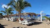 Pinney’s Beach featuring shaded lounge chairs, hammocks and palm trees