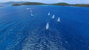 A group of sailboats sailing out of a bay