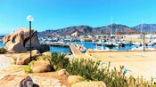 A harbor with docked fishing boats