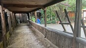 Covered wooden walkway with rustic beams and railings, leading to an open area with greenery and buildings