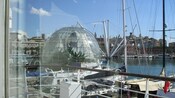 A tropical forest biosphere at the end of a harbor