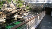 Una exhibición de acuario al aire libre con afloramientos rocosos, piscinas grandes y pantallas informativas