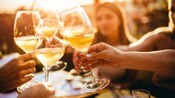 Visitantes chocando sus copas de vino para brindar