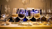 A collection of glasses containing ingredients related to brewing, arranged on a wooden surface