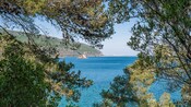 The view of a bay framed by pine trees along the Sesimbra coast