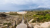 A wooden path leading to Guincho Beach in Cascais, Portugal