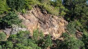 Un acantilado al lado de un camino rodeado de árboles en Madeira, Portugal