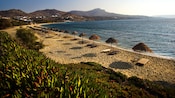 Rows of lounge seats with grass umbrellas along a beach