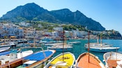 Boats docked in a harbor near Capri, Italy