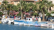 Un puerto con botes pesqueros en el agua, rodeado de palmeras y edificios
