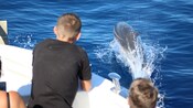 A group of people admiring a dolphin breaching next to the boat
