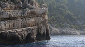 A large cliff covered in lush greenery overlooking the ocean