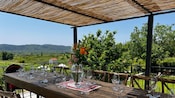 Long dining table set with glasses and flowers on a covered terrace overlooking the countryside