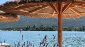 A beach umbrella with flowers in the foreground and a lake with mountains