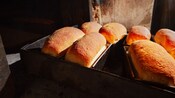 Freshly baked bread loafs on a baking tray